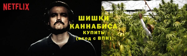 2c-b Белокуриха