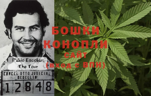 ГАЛЛЮЦИНОГЕННЫЕ ГРИБЫ Белоозёрский