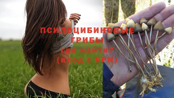 ГАЛЛЮЦИНОГЕННЫЕ ГРИБЫ Белоозёрский