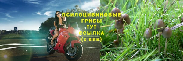 2c-b Белокуриха