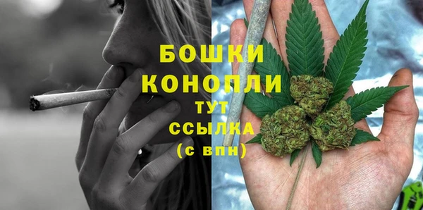 2c-b Белокуриха