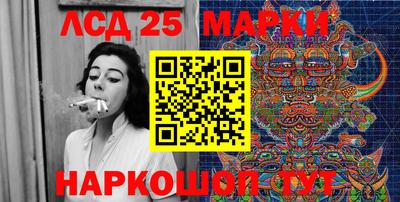 кокс Донской