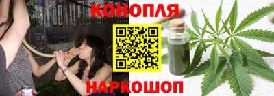 кокс Донской
