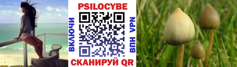 Галлюциногенные грибы Magic Shrooms  Саяногорск 