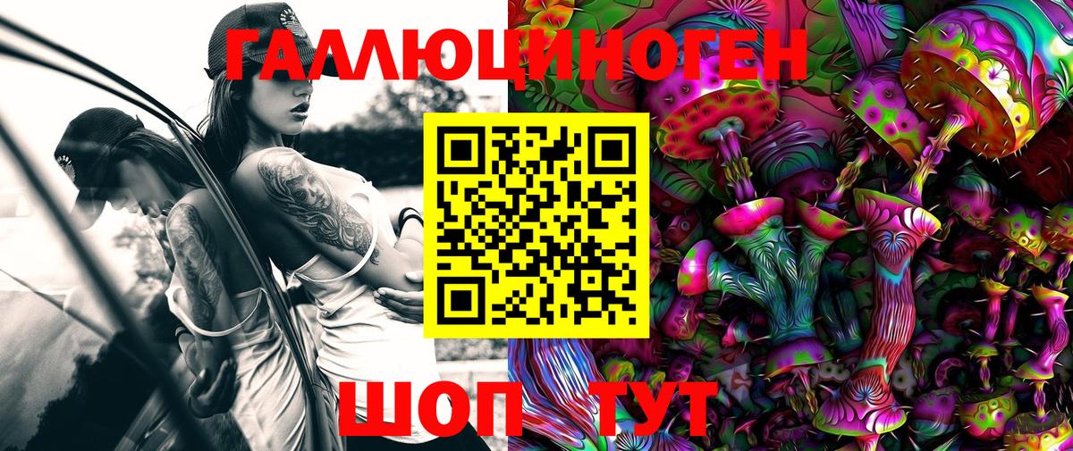 Галлюциногенные грибы Psilocybine cubensis  Псилоцибиновые грибы Psilocybe  Вход с VPN  Саяногорск 