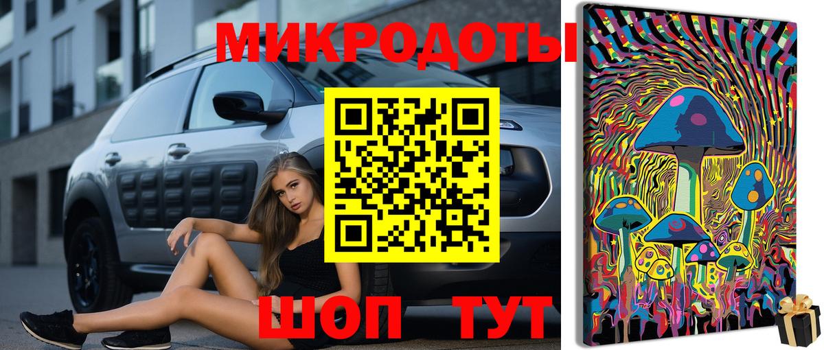 Псилоцибиновые грибы мицелий Саяногорск
